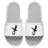 Eagle Icon Slides