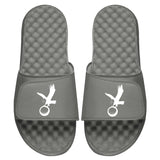Eagle Icon Slides