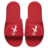 Eagle Icon Slides