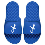Eagle Icon Slides